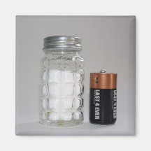 A Salt and Battery Refrigerator Magnets
