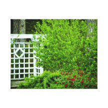 A Seat in the Garden Stretched Canvas Print