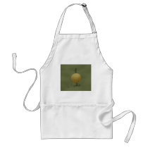 A Small Garden aprons