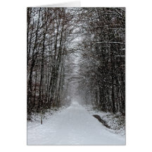 A snowy day in the forest greeting cards