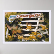 A Spring Chicken, Selden's funny farce Poster