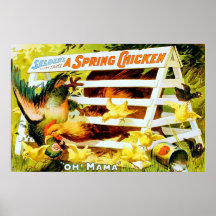 A Spring Chicken ~ Vintage Theatre Advertising Poster