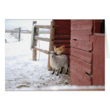 a strange sight on the farm greeting cards