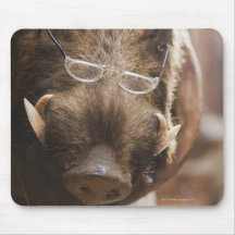 a stuffed wild boar wearing glasses outside a mouse mats