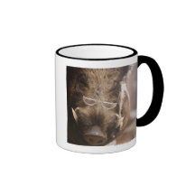 a stuffed wild boar wearing glasses outside a mug