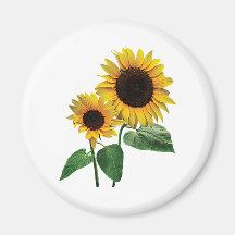 A Sunflower Mummy's Love Fridge Magnet