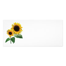 A Sunflower Mummy's Love Rack Cards