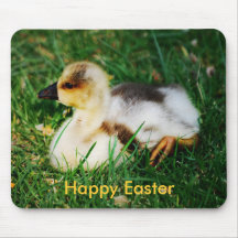 A Time For Rest Mouse Pads