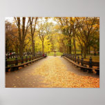 A Trail of Autumn Leaves, Central Park, Medium Print