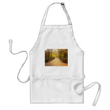 A Trail of Autumn Leaves, Central Park, NYC Aprons