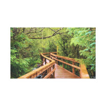 A Walk in the Rain Forest Stretched Canvas Print