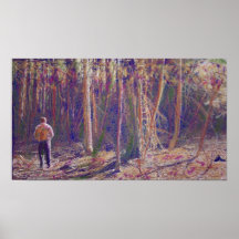 A Walk Through the Woods Poster