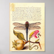 A Weed Is A Plant Posters
