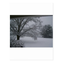 A WINTER DAY POST CARD