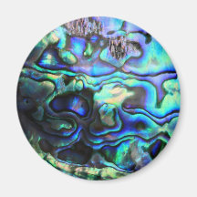 Abalone paua shell fridge magnet