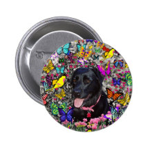 Abby in Butterflies - Black Lab Dog Pinback Button