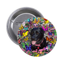 Abby in Butterflies Button - Black Labrador