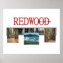 ABH Redwood posters