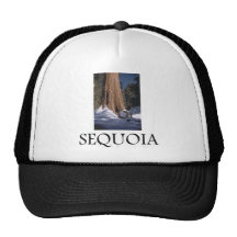 ABH Sequoia Mesh Hats