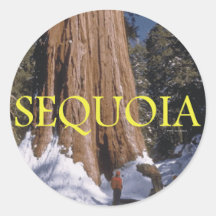 ABH Sequoia Round Stickers