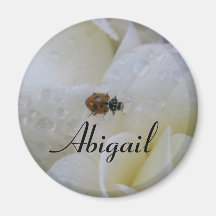 Abigail Magnet