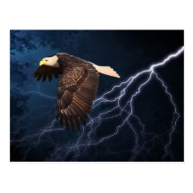ABOVE THE STORM POSTCARDS