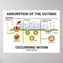 Absorption Of The Outside Occurring Within Poster