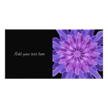 Abstract Art Purple Flower Photo Greeting Card