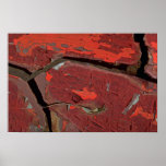 Abstract Cracked Poster