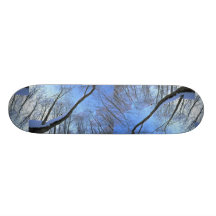 Abstract Maple and beech forests in winter Skate Decks