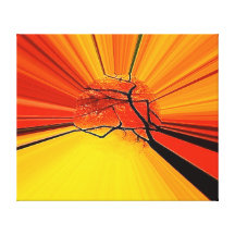 Abstract Wrapped Canvas Artwork Gallery Wrapped Canvas