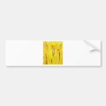 Abstract Yellow Wood Grain ( abstract painting) Bumper Stickers