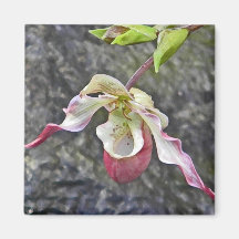 AC- Lady Slipper Orchid Magnet
