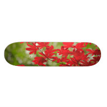 Acer leaves skate deck