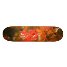 Acer leaves skateboard deck