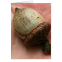 ACORN CARDS