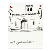 Acute Pyelonephritis postcard postcards