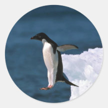 Ad?lie Penguins Leaping From An Iceberg Sticker