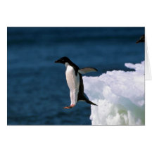 Adelie Penguins Greeting Cards