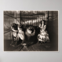 Adgie and The Lions 1899 Posters