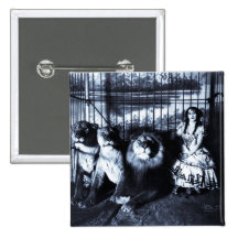 Adjie and the Lions 1899 Pinback Buttons