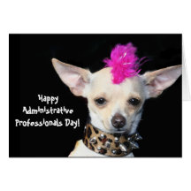 Administrative Professionals Day chihuahua card