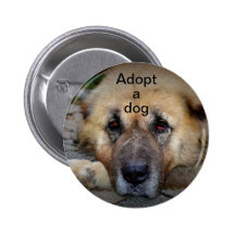 Adopt A Dog Pinback Buttons
