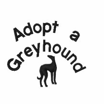 Adopt a Greyhound: Make a Fast Friend