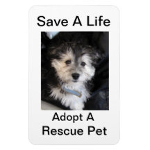 Adopt a Rescue Pet Rectangle Magnets