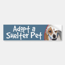 Adopt a Shelter Pet Spotted Hound Mix Bumper Sticker