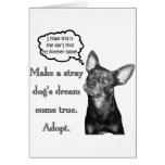 Adopt A Stray Cards