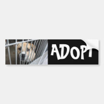 Adopt Bumper Stickers