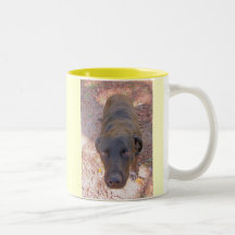 , ADOPT PLEASE! MUGS