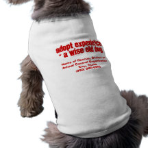 Adopt Wise Old Dogs Pet Tee